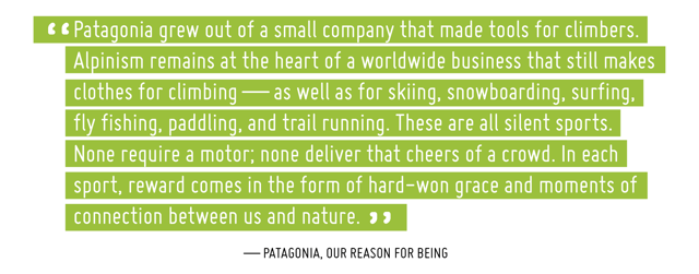 An excerpt about sustainable companies like Patagonia