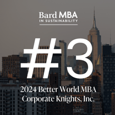 #3 - Better World MBA