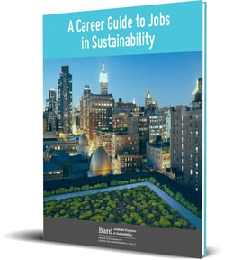 career-guide-cover