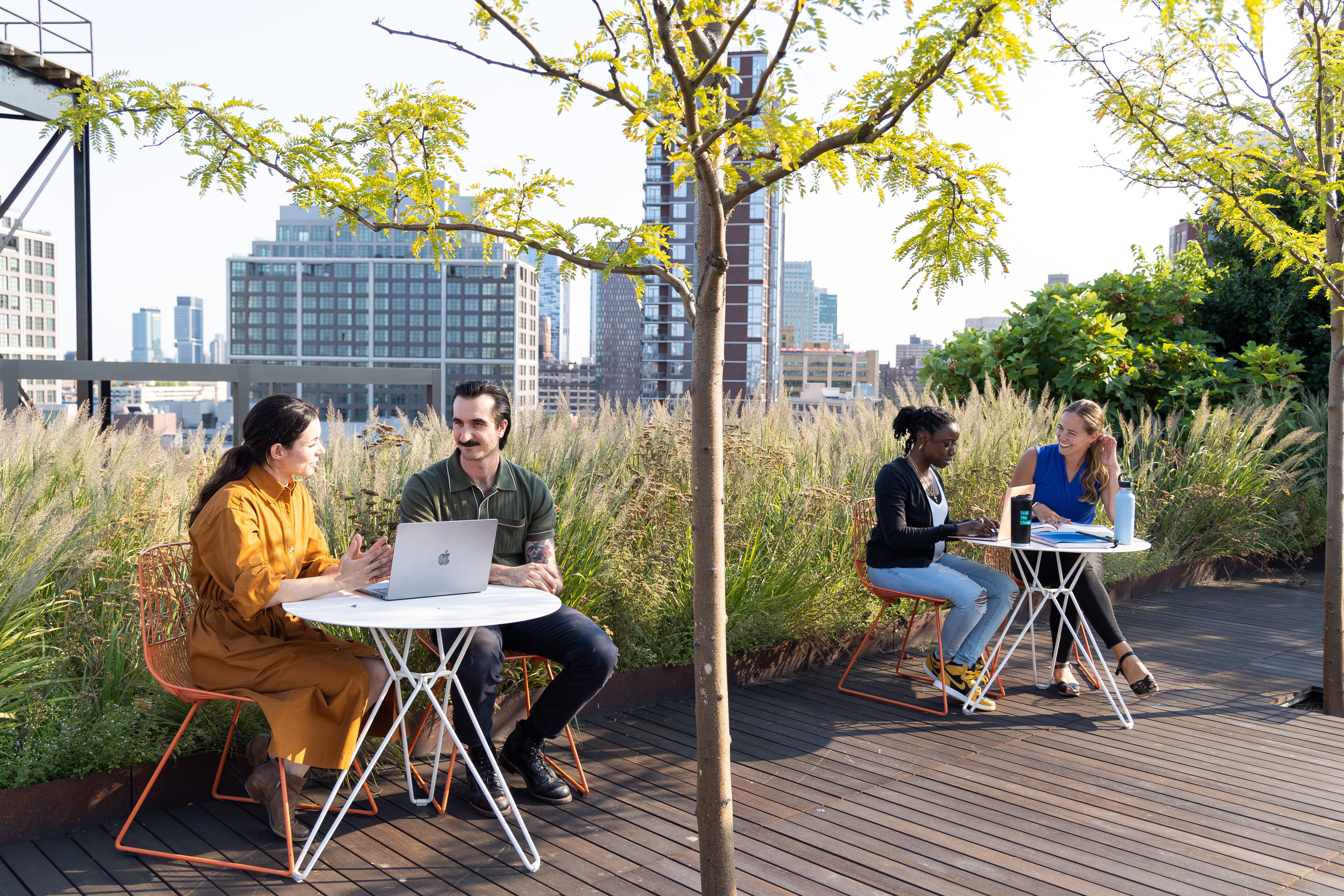 MBA in Sustainability students working in an urban park in NYC