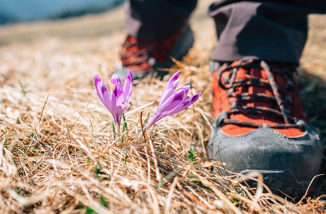 The shoe of an environmental educator.