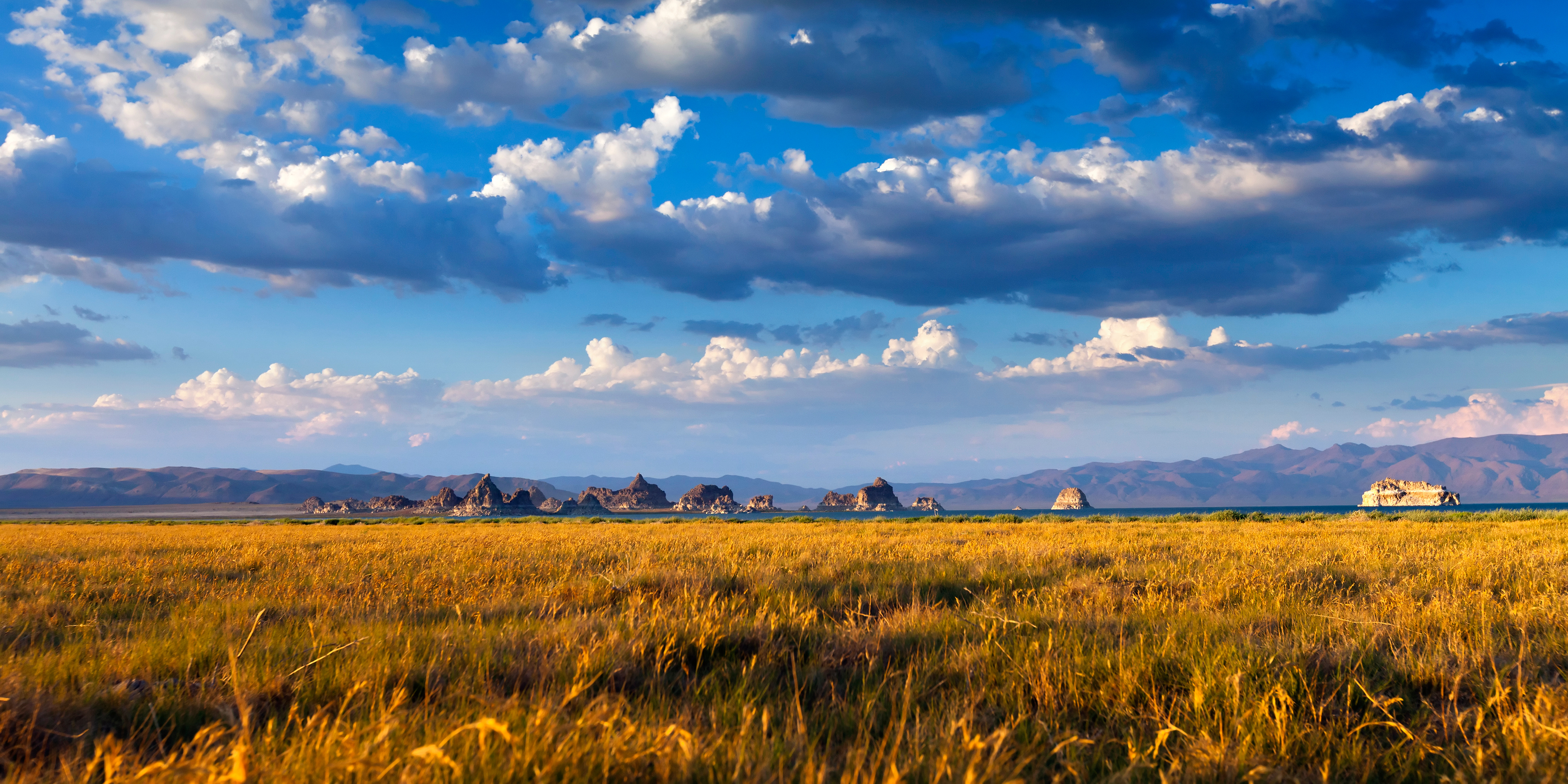 A beautiful expanse of native land