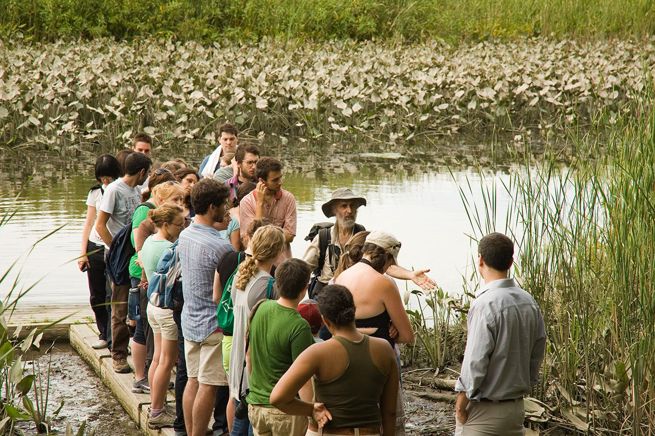 A group of students standing in swampland are learning and battling the misconceptions about climate change.