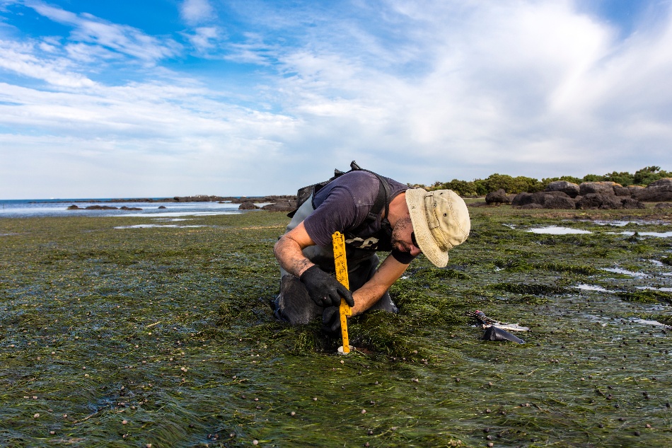 bard-gps-climate-science-intern